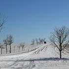 Dieses Bild aus dem Osterzgebirge hatte für mich eine besondere Bedeutung vor drei Wochen... 