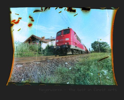 Dieses Bild schien mir leider ziemlich missglückt...