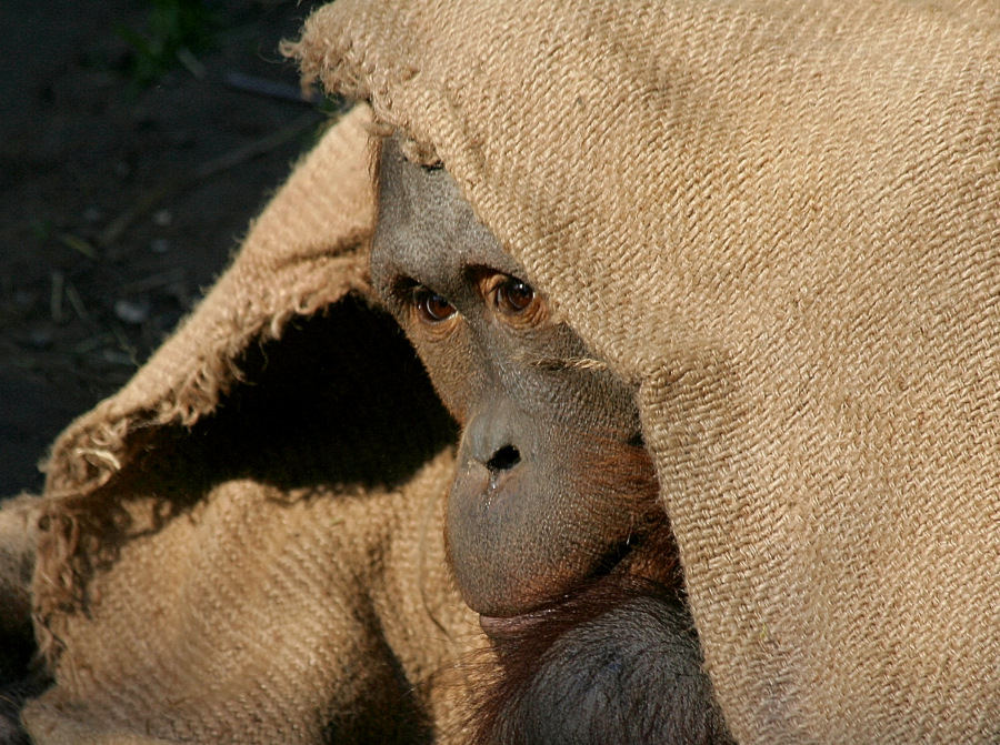 Dieses Bild spricht für sich selbst!!