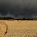 Dieses Foto musste ich haben. Jetzt nichts wie weg und schnell ins Auto....