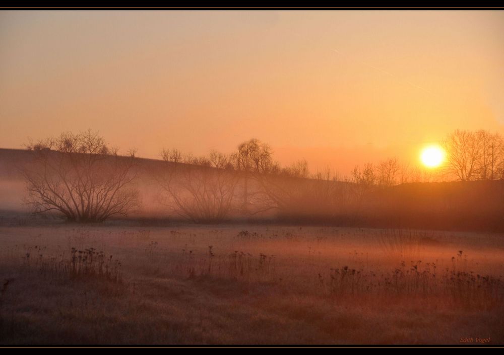 dieses Licht II