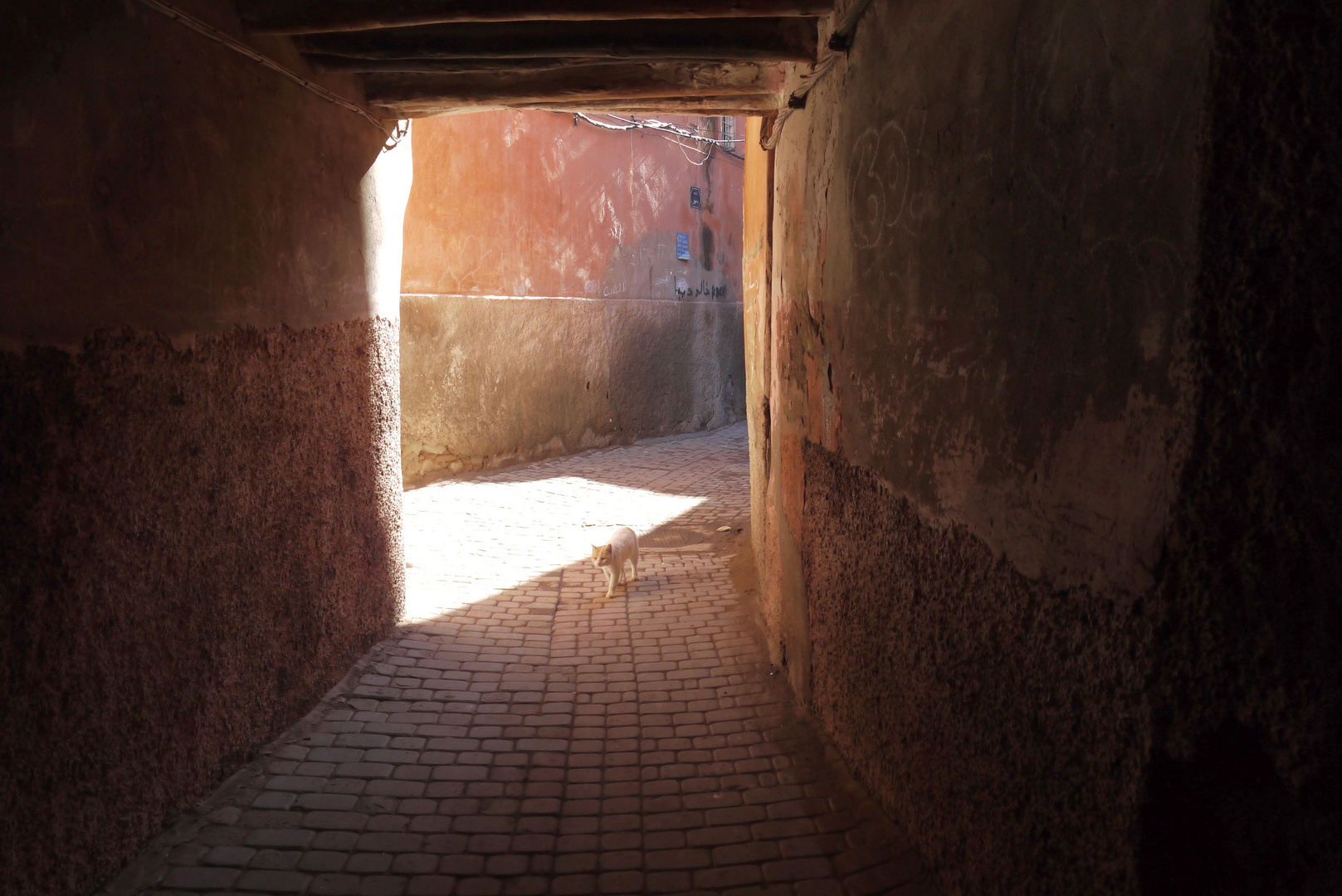 Dieses Licht und diese Farben in der Medina ....