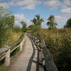 Dieses Mal in Farbe - Die Rieselfelder in Münster