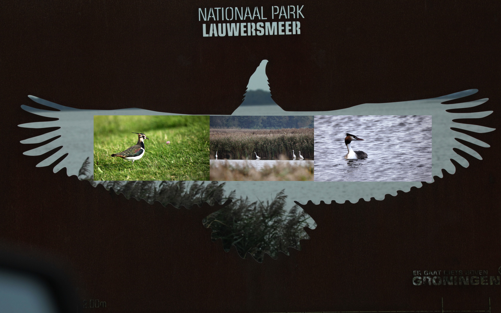 Dieses neue beeindruckende Hinweisschild im Lauwersmeer/Nationalpark....
