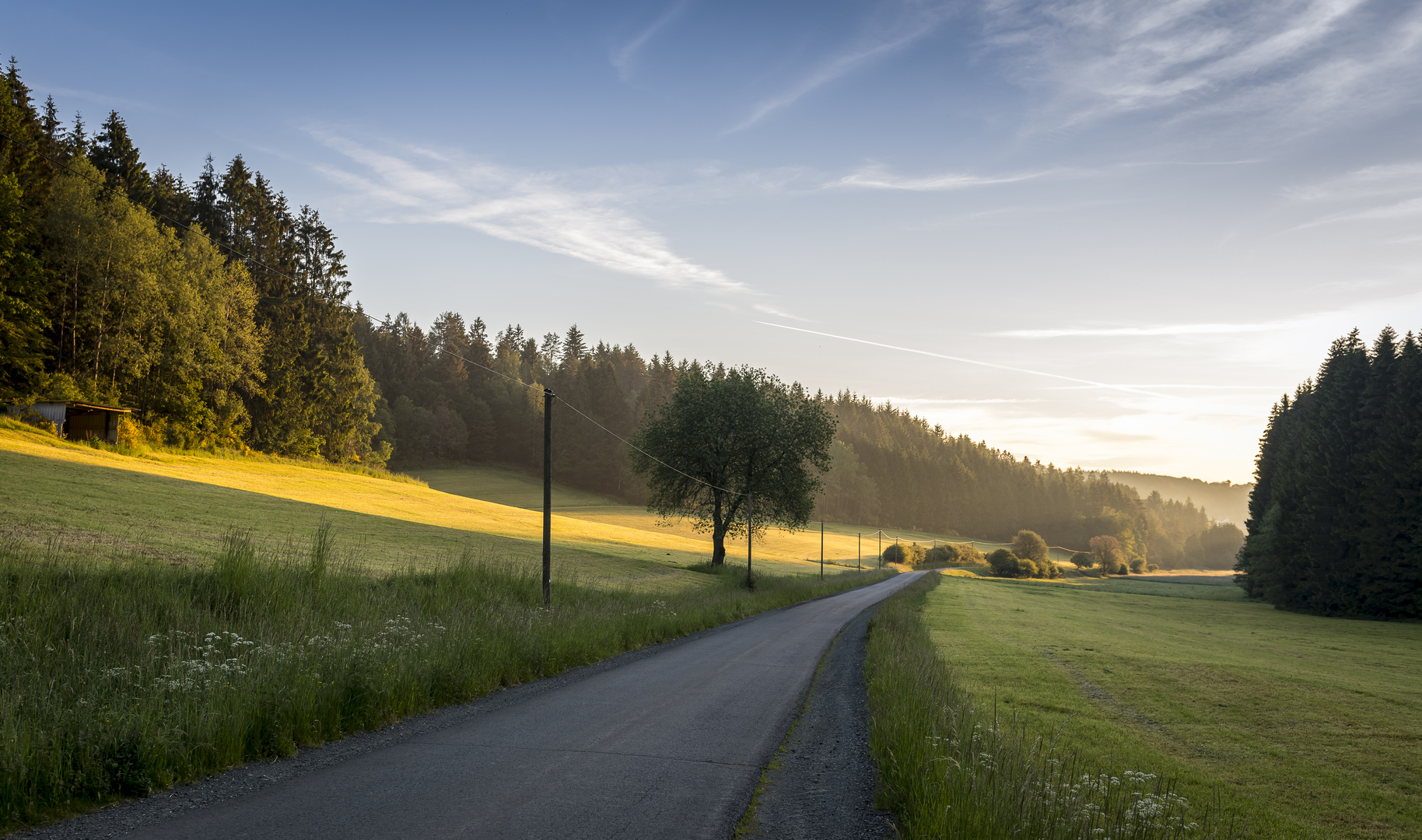 Dieses wunderbare Licht...