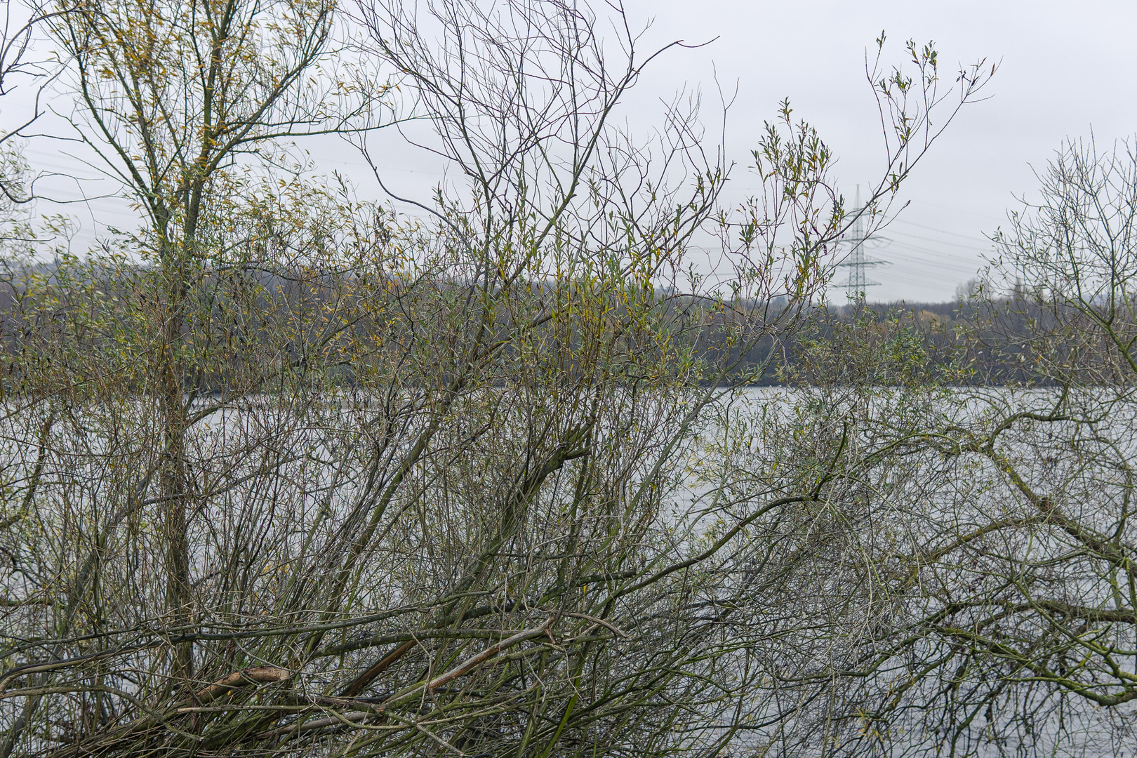 Diesige Seegräue bei Niesel 