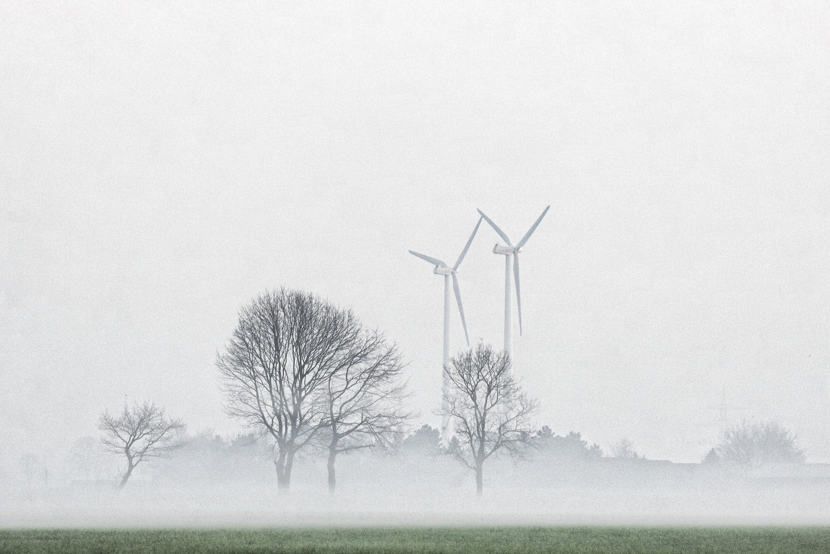 Diesiger Niederrhein