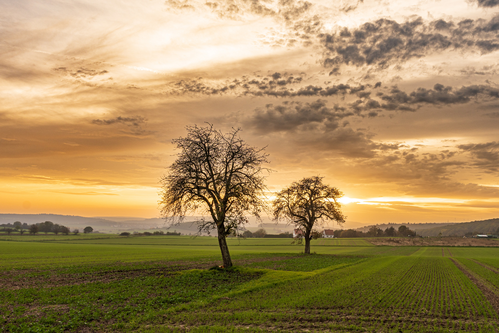 diesiger Sonnenuntergang