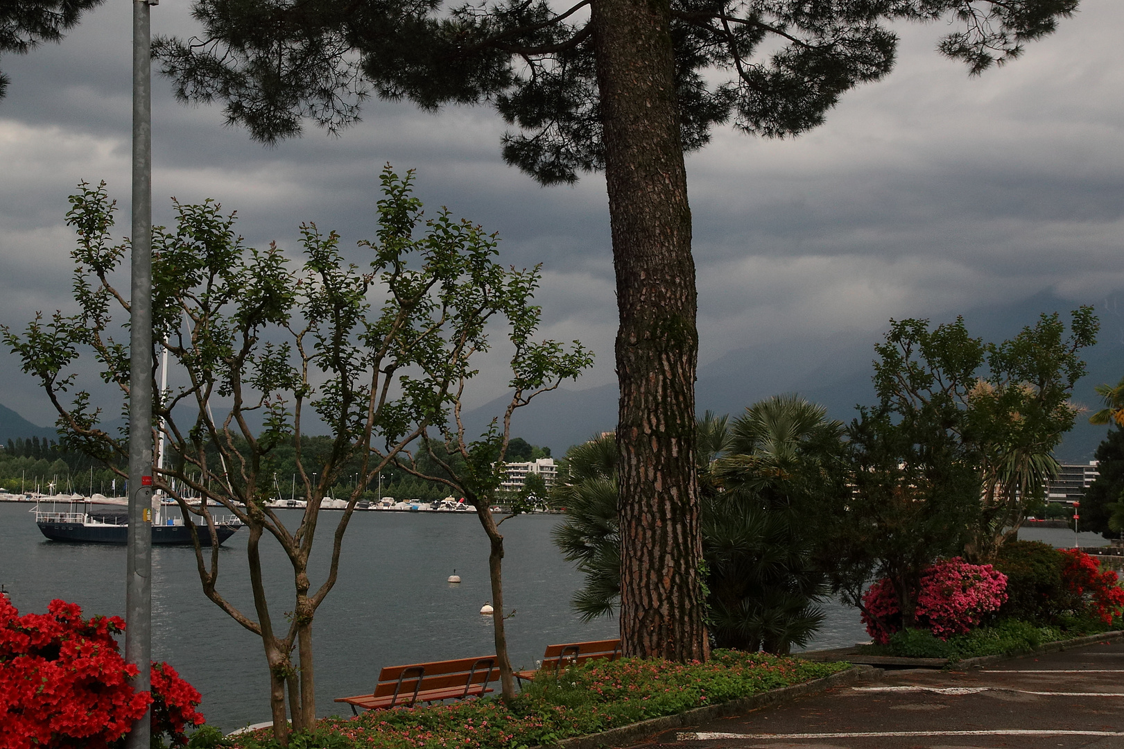 diesjährige Mai-Stimmung im Tessin...