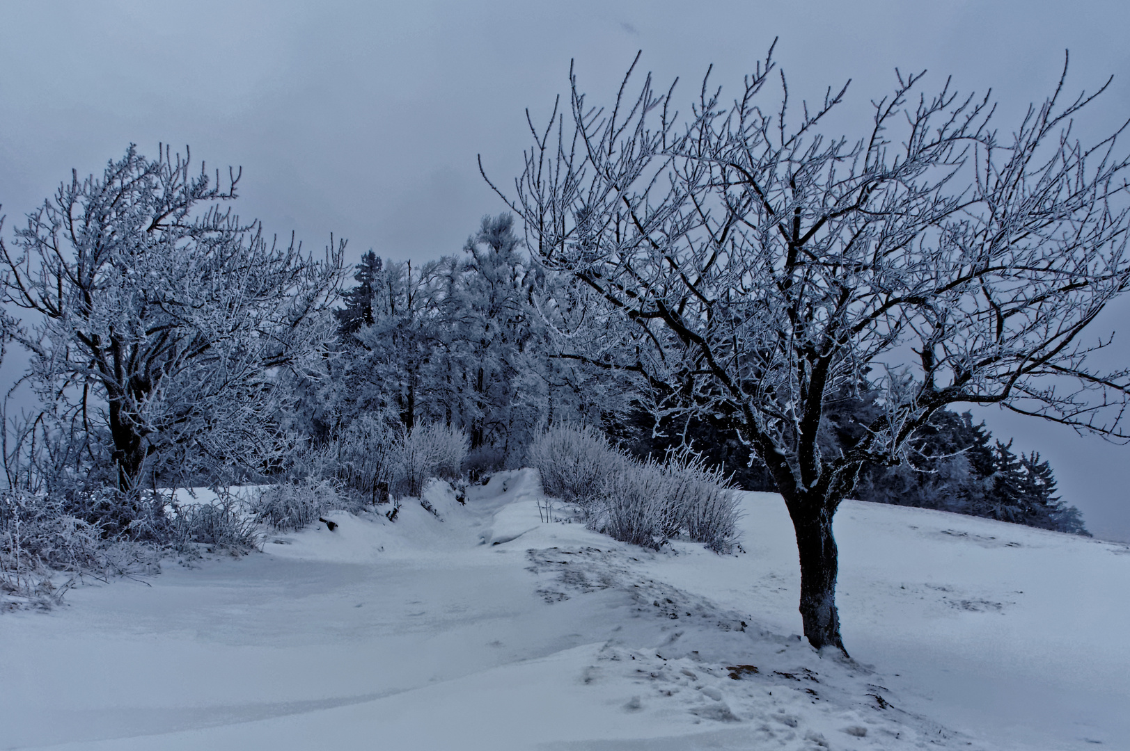 Diesmal echter Winter
