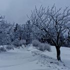 Diesmal echter Winter