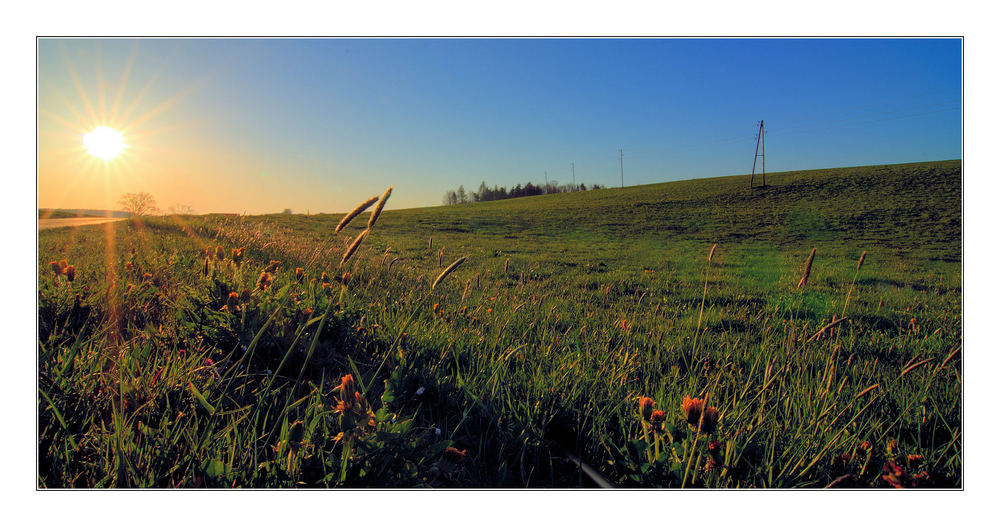 Diessener Landschaften 4