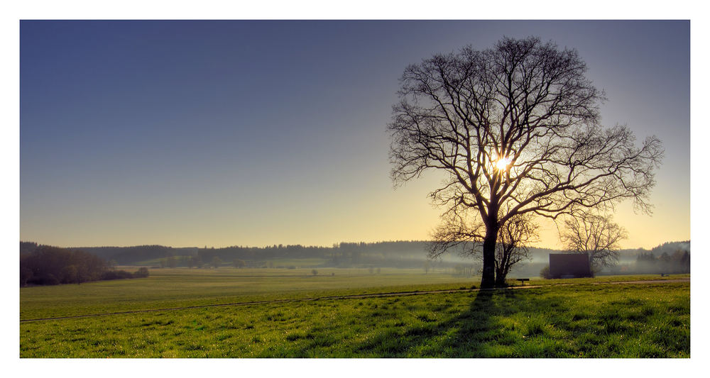 Diessener Landschaften 5