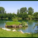 Dietenbachsee in Freiburg