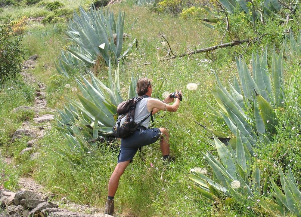 Dieter - auf der Jagd nach "Pusteblumen"