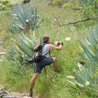 Dieter - auf der Jagd nach "Pusteblumen"