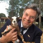 User Profile Photo
