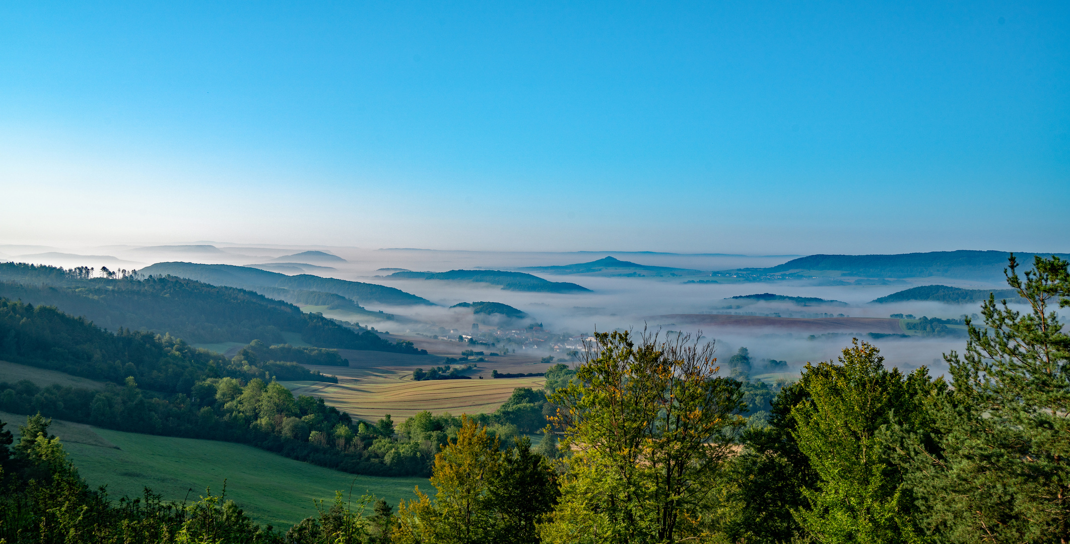 Dieteröder Klippen im Nebel