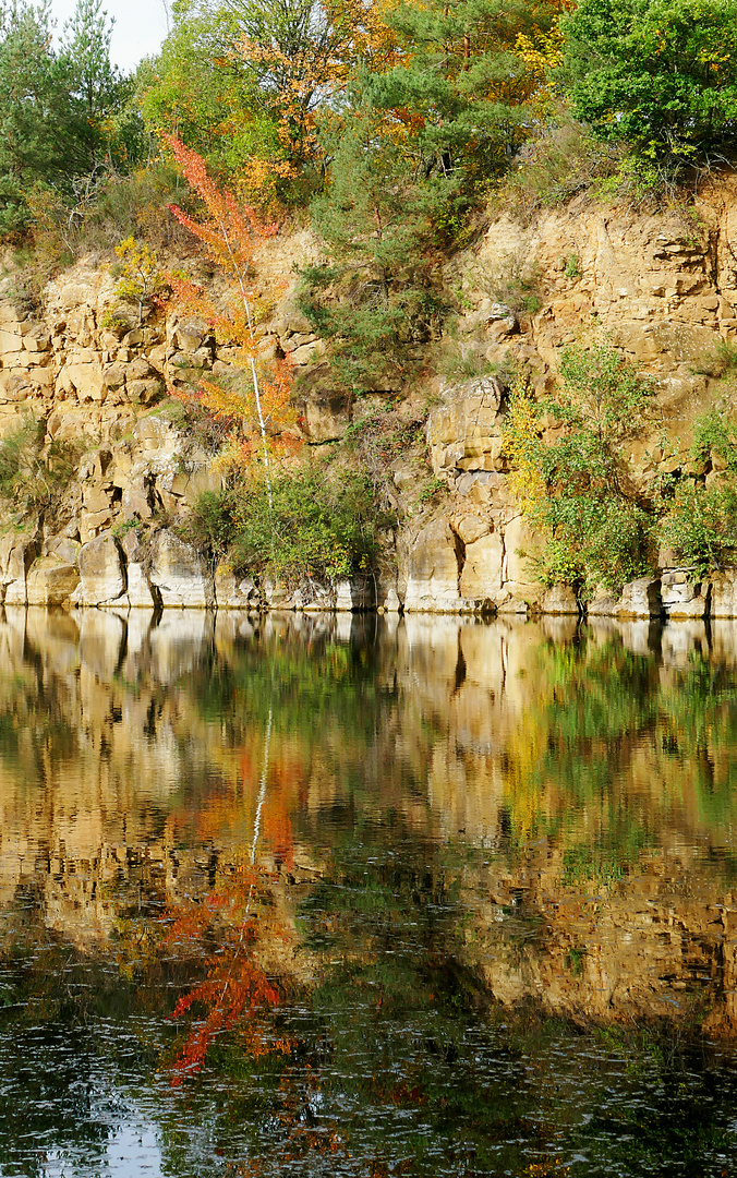 Dietesheimer Steinbrüche im Herbst -3-