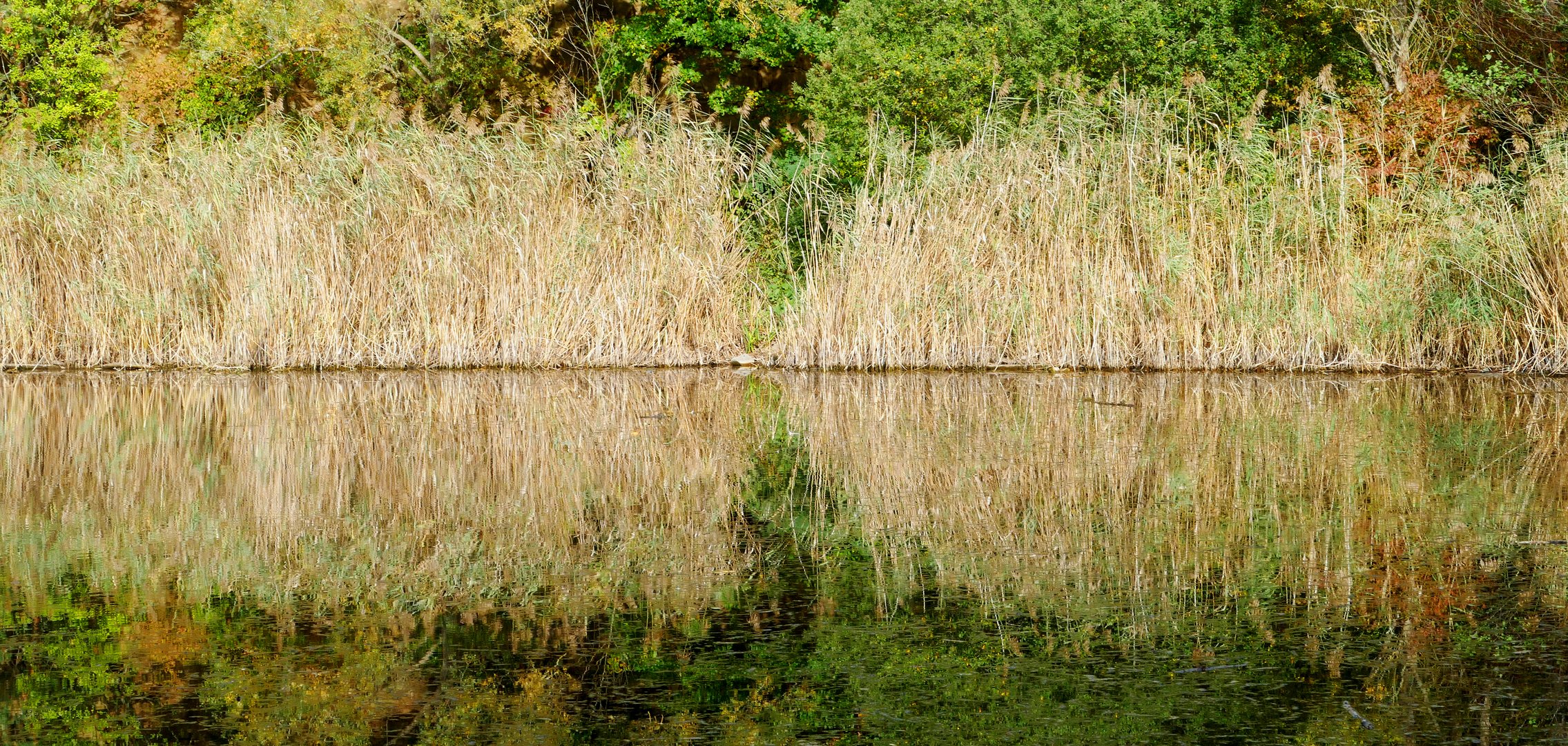 Dietesheimer Steinbrüche im Herbst -4-