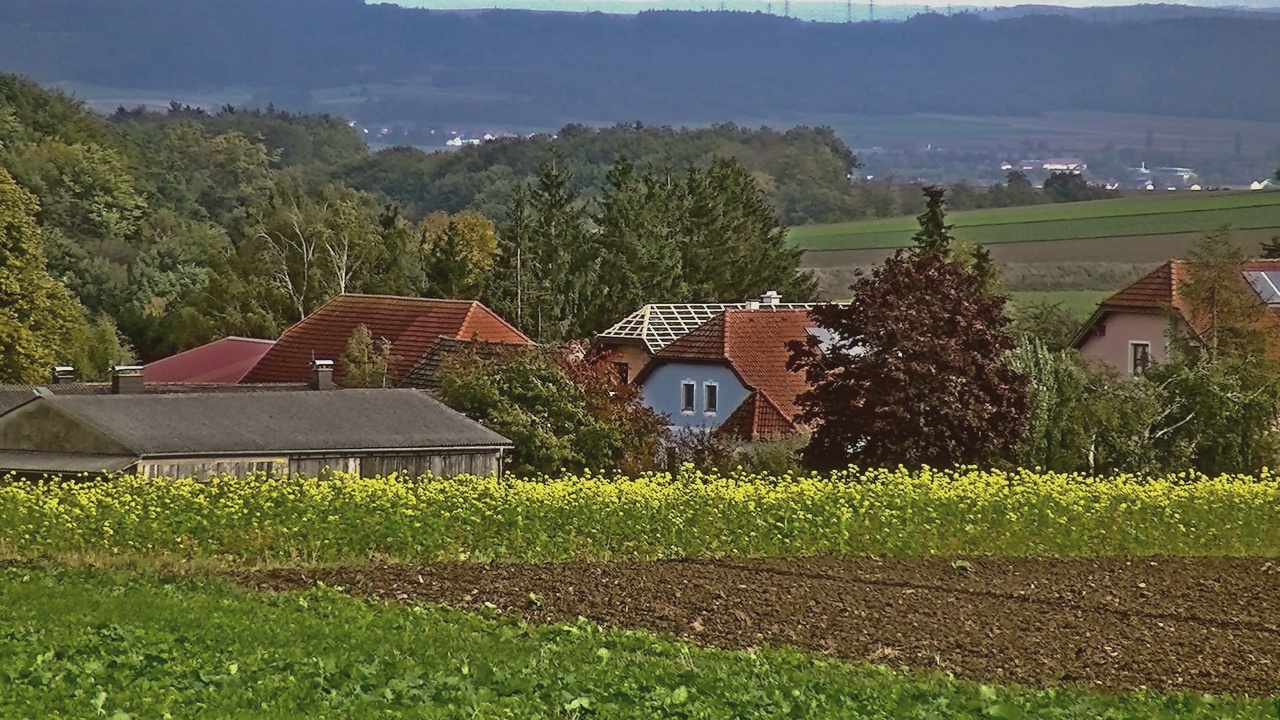 Dietmannsdorf bei Horn Waldviertel NÖ Ganz verschlarfenes Dorf