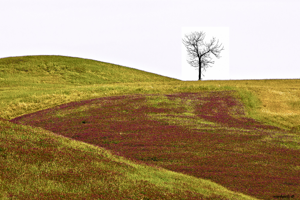 dietro la collina