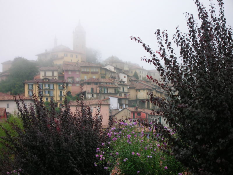 Dietro un velo...Monforte.