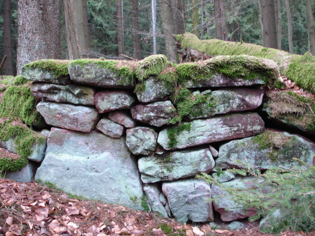 Die_vergessene_Mauer