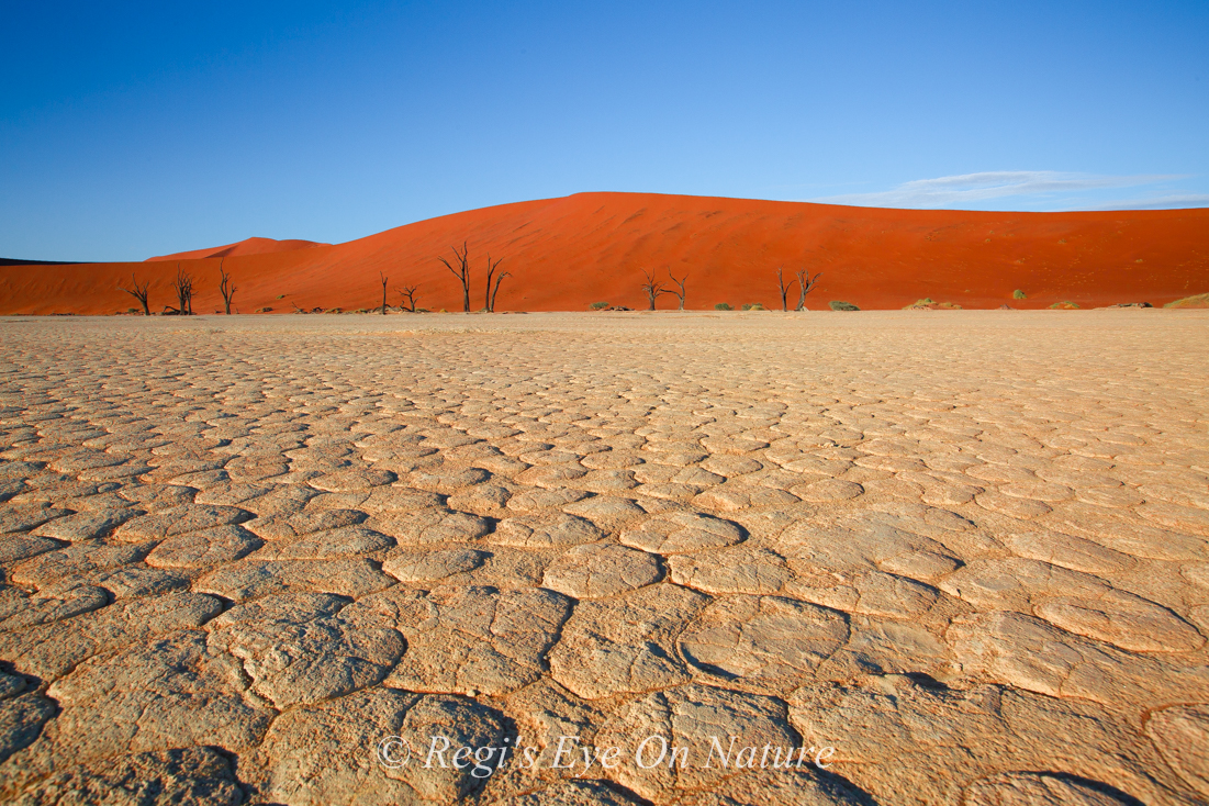 different deadvlei view