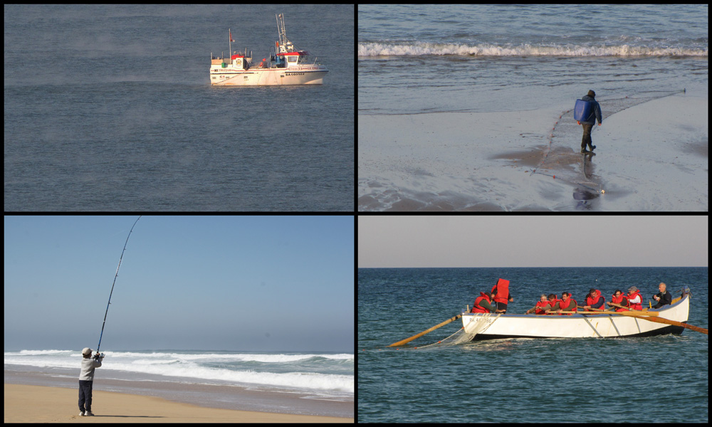 différentes façons de pêcher à l'océan !!!