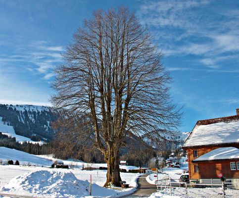 Differenz / Diferencia / Différence ...006