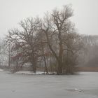 Diffuse Lichtstimmung am Kölner Scheuermühlenteich