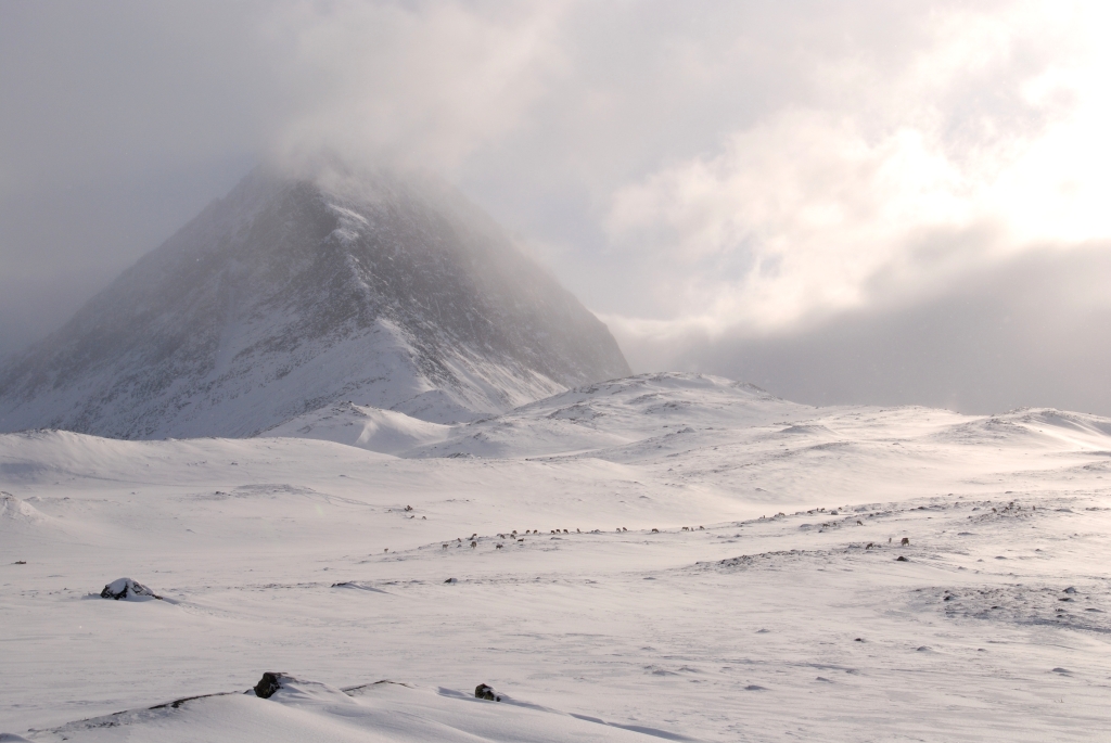 Diffuse Lichtstimmung im Kungsleden