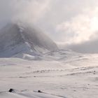 Diffuse Lichtstimmung im Kungsleden