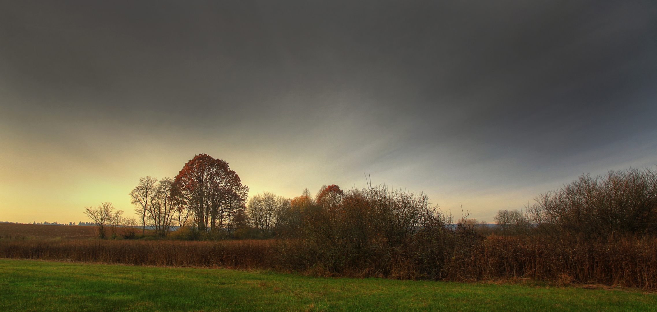 Diffuses Licht liegt über der Natur