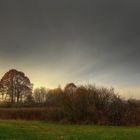 Diffuses Licht liegt über der Natur