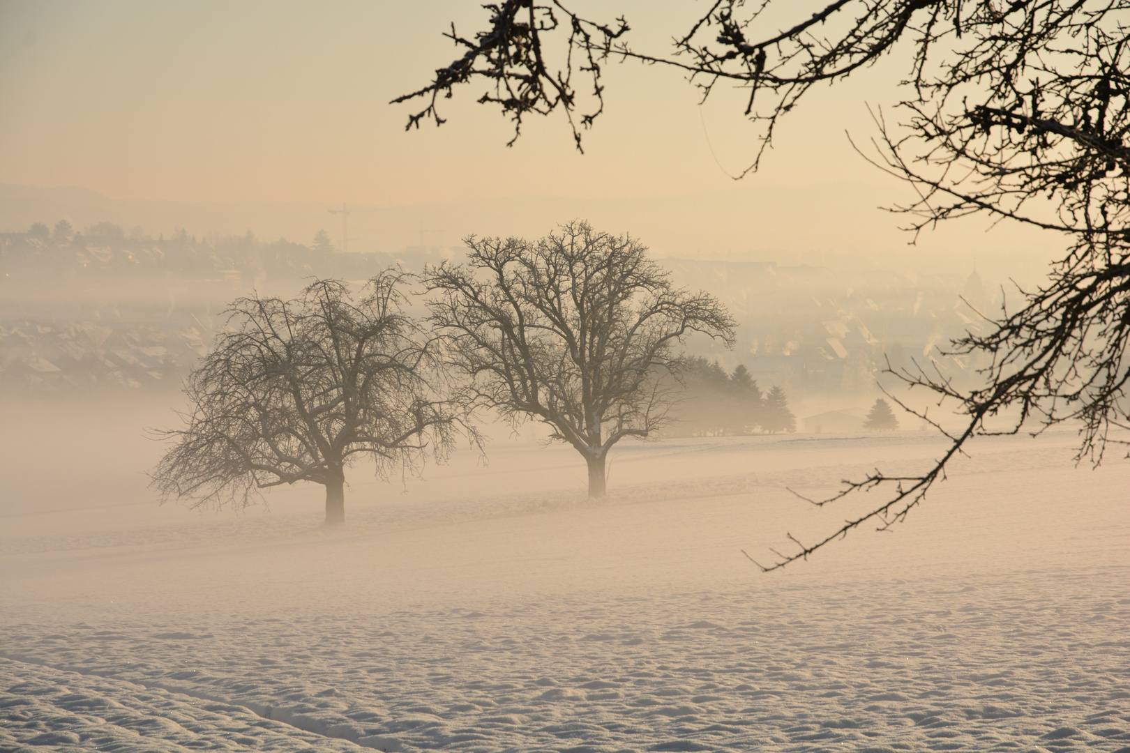 Diffuses Morgenlicht