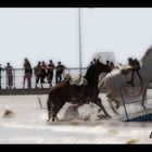 Dificultades del Camino...