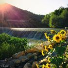 diga del fiume Marta