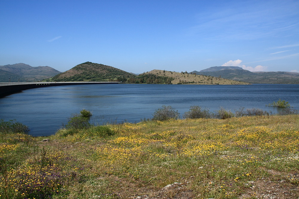 Diga di monte Pranu in piena