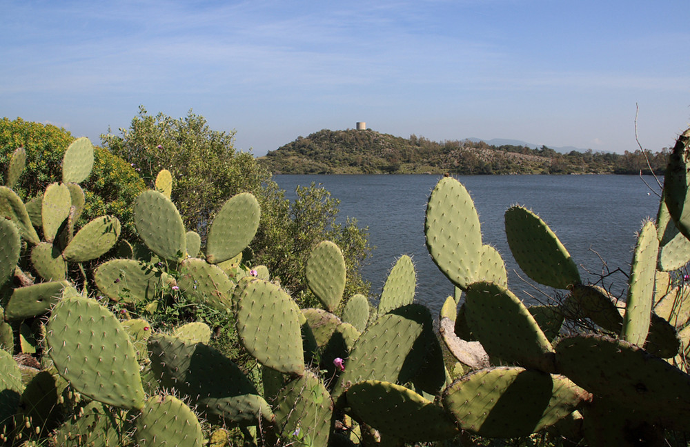 Diga di monte Pranu ( Tratalias )