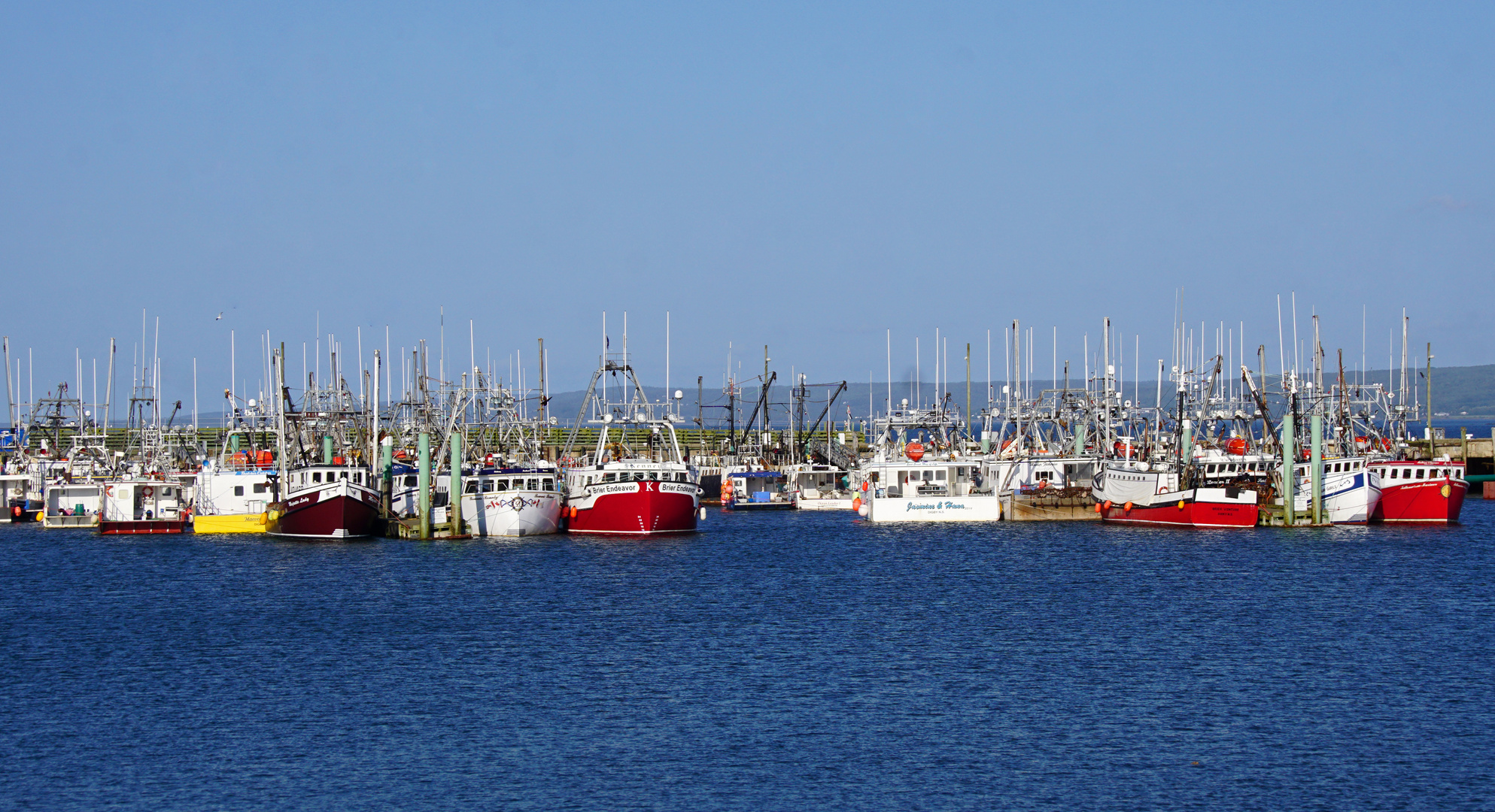 Digby Harbour