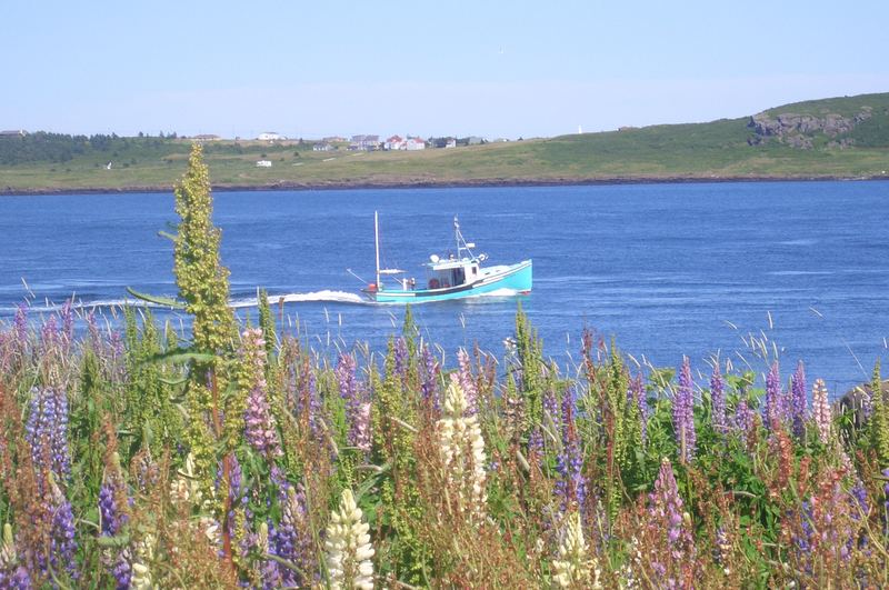 Digby Neck