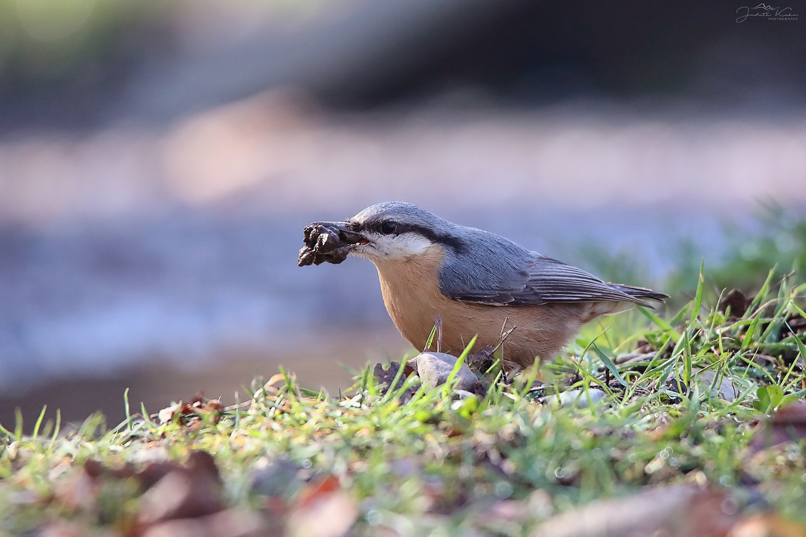 diggin' in the dirt