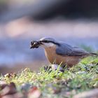 diggin' in the dirt