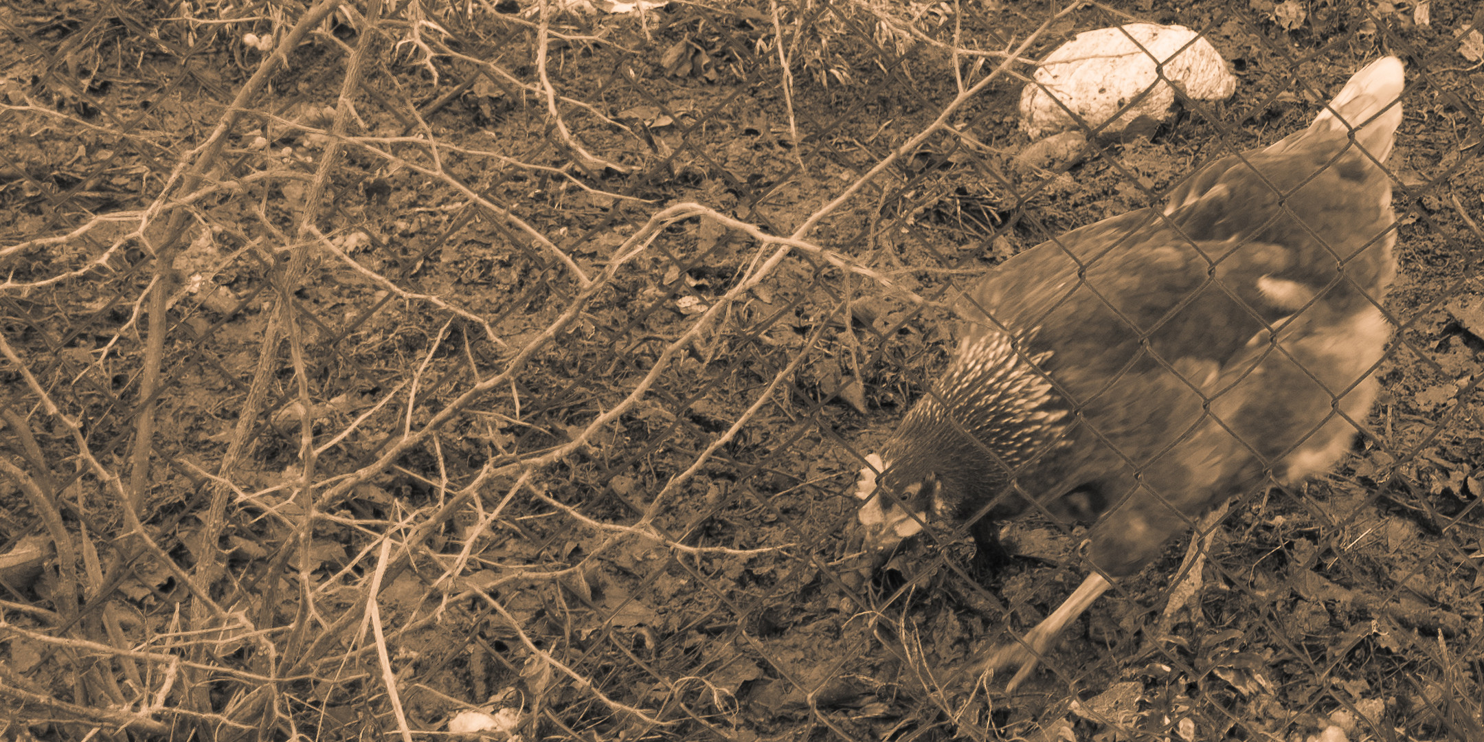 Digging in the Dirt