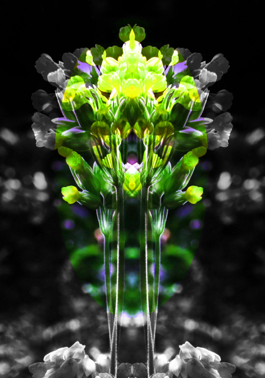 digital flower