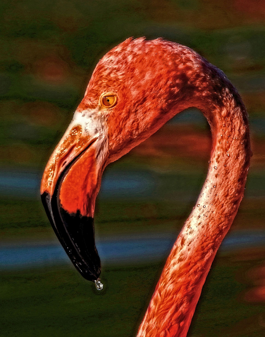 Digital gemaltes "PORTRÄT", Flamingo