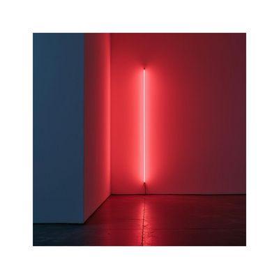 digital still life of the day - 20250818