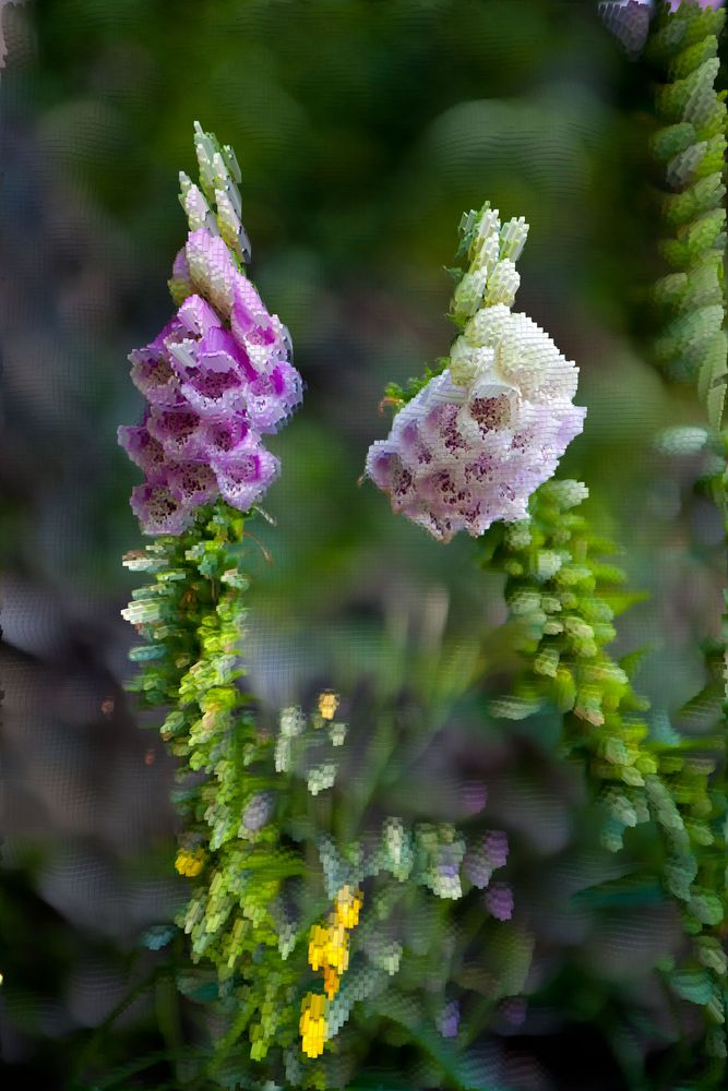 Digitalis... von Hans-Jürgen Hartung 